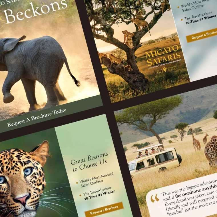 Collage of safari-themed brochures featuring elephants, leopards, and tourists in a jeep. Includes award mentions and a call to request a brochure.