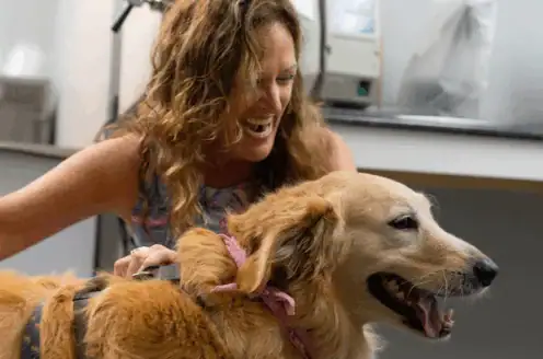 A woman with wavy hair smiles while petting a golden retriever wearing a pink bandana in an indoor setting.