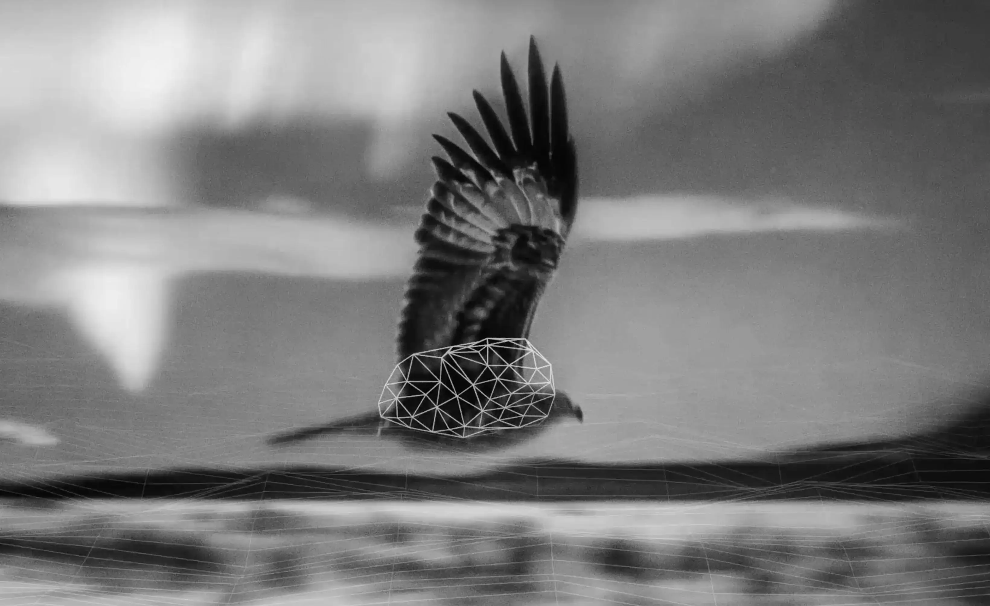 A bird in flight over water, shown in black and white with digital geometric lines overlaying its body and the landscape.
